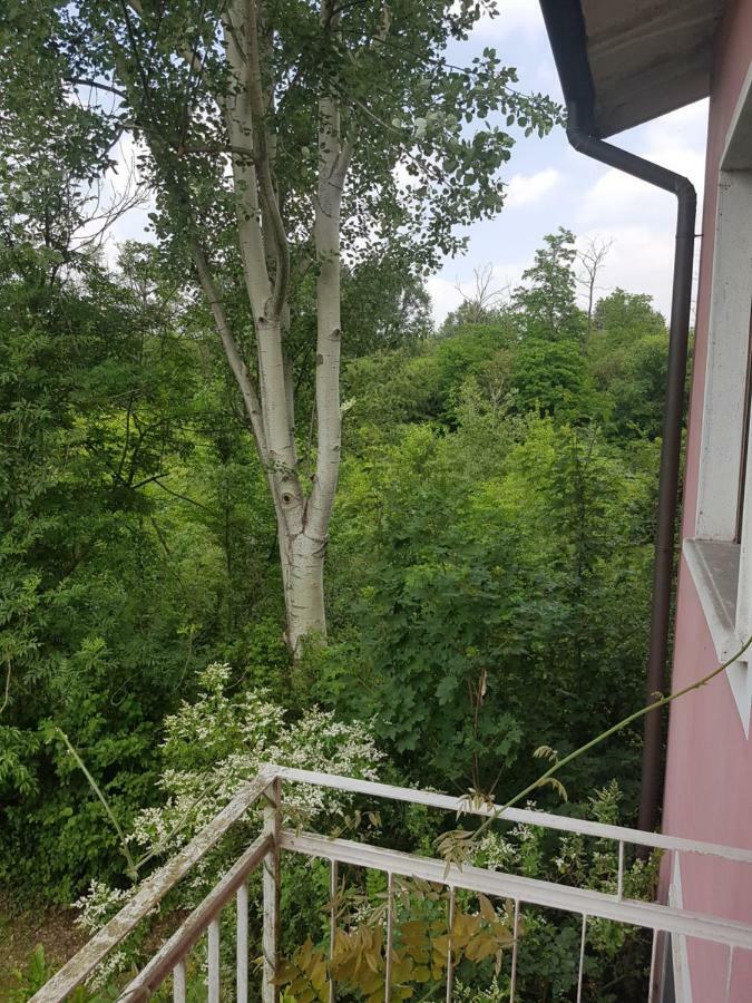 Le Case Nel Bosco Vanzago Buitenkant foto