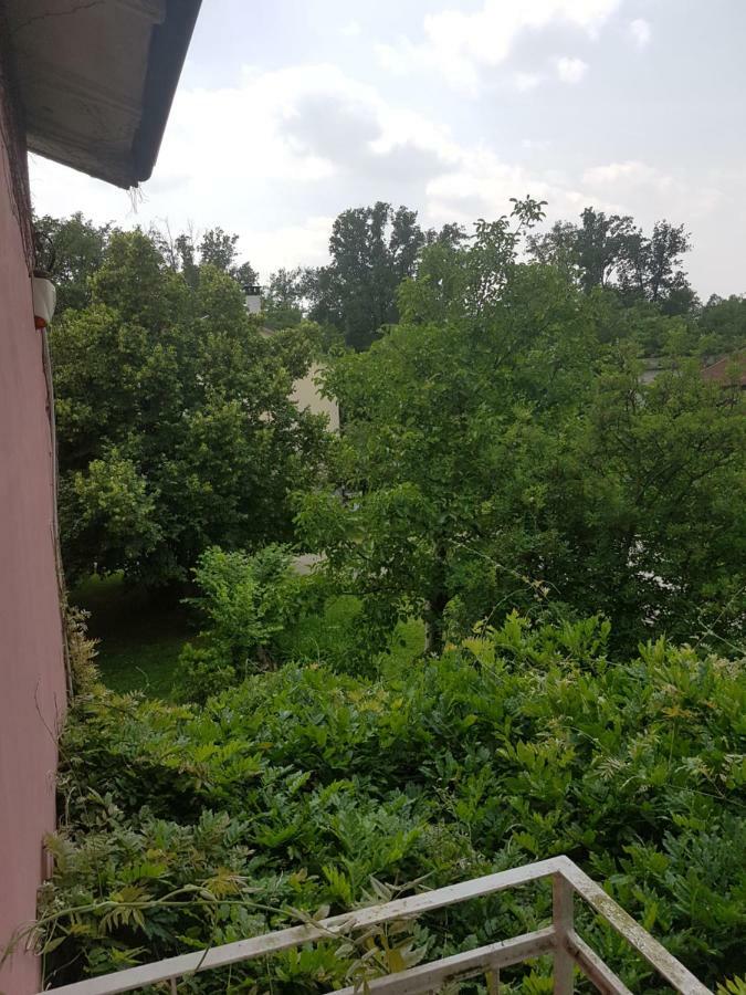 Le Case Nel Bosco Vanzago Buitenkant foto